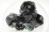 Lustrous Fluorite Crystals w/ Purple Phantoms - Yaogangxian Mine #215801-3